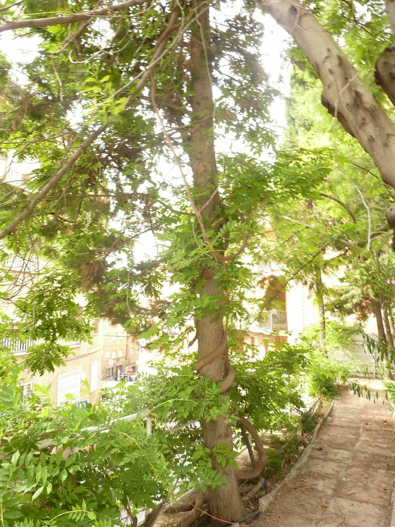 Casa Vilaro 바르셀로나 외부 사진